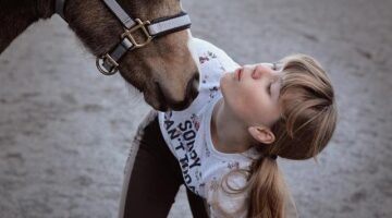 Jak nainstalovat Ubuntu na počítači