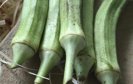 Výhody a rizika investic do digitálních měn