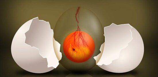 Vývoj ceny bitcoinu