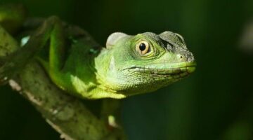 Podrobný průvodce programováním v Visual Basic