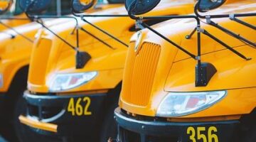 Základní principy kybernetiky: Informative