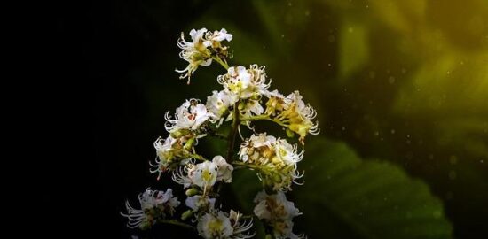 Jak začít s Visual Basic v Češtině?