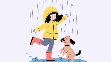 Nejlepší kryptoměny na trhu – český průvodce