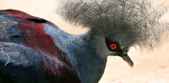 Jak získat kryptoaktivum – informace a tipy