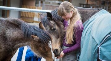 Jak nainstalovat Arch Linux: návod pro začátečníky