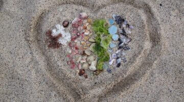 Úvod do světa Pythonu: První kroky v kódování