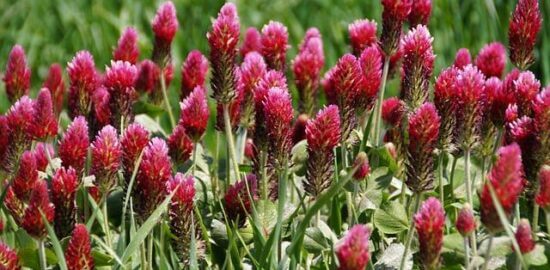 Jak efektivně využívat javascript vývoji webových stránek