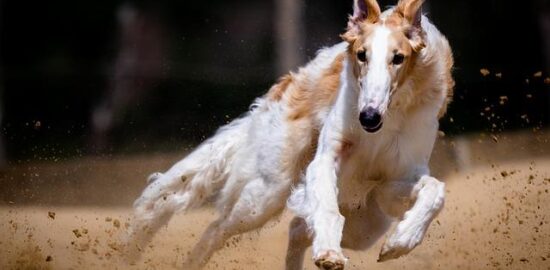 Jak udělat: Kurz jazyka C++ pro začátečníky