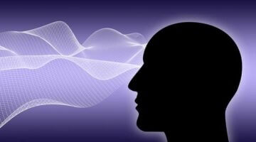 Jak rozumět základům kybernetiky ve vědě