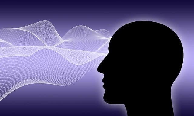 Jak rozumět základům kybernetiky ve vědě