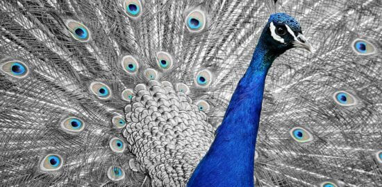 Recenze Windows Vista: Výhody a nevýhody