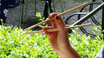 Suse: Návod pro začátečníky