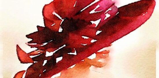 Přehled o Red Hat Linux