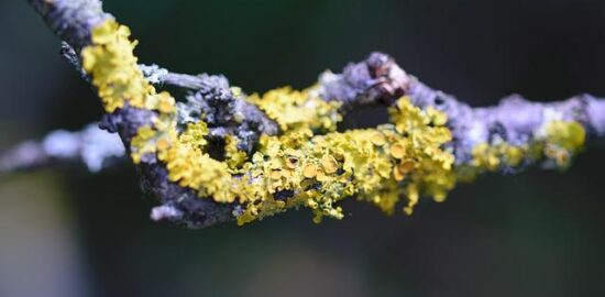 Všechno, co musíte vědět o Windows 11