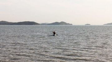 Windows NT: Klíčové vlastnosti a historie systému