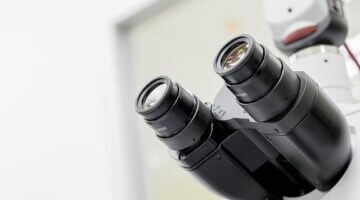 Rozsah a význam kryptoaktiv v současném finančním trhu