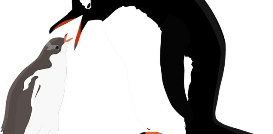 Gentoo Linux: Průvodce instalací a nastavením