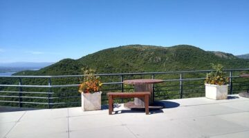 Jaké jsou nejpopulárnější kryptoaktiva v roce 2022