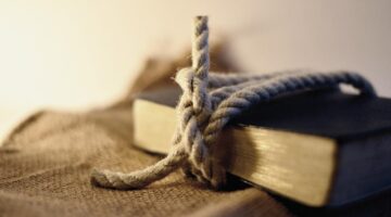 Jak rozumět základům kybernetiky efektivně