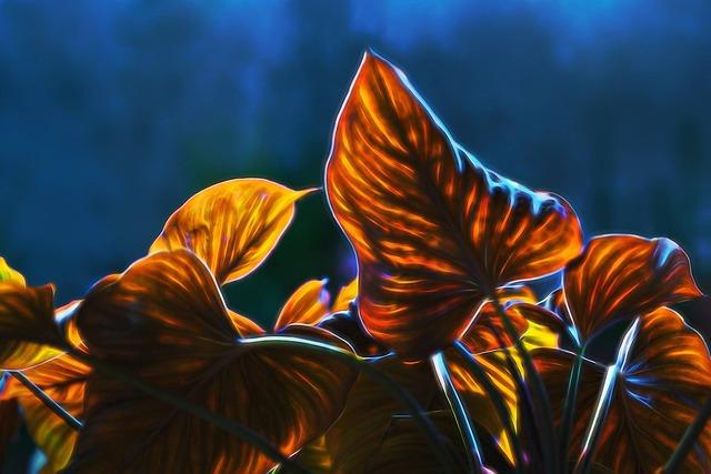 Jak pracovat s Visual Basic: návody a tipy