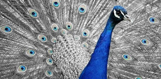 Recenze Gentoo: Návod pro začátečníky