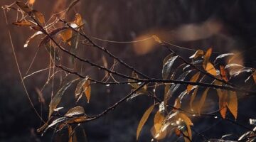 Jak udělat web v PHP: návod pro začátečníky