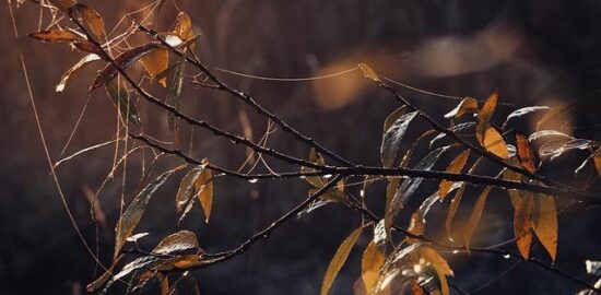 Jak udělat web v PHP: návod pro začátečníky