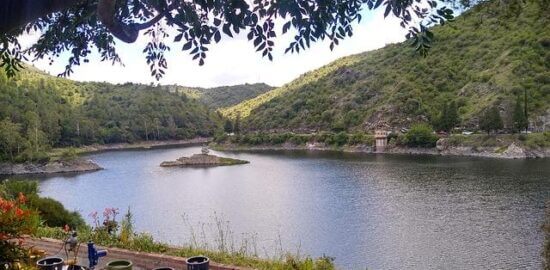 Jaké jsou nejpopulárnější kryptoměny v roce 2022