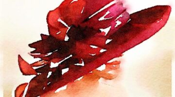 Red Hat Linux: Přehled dostupných verzí a funkcí