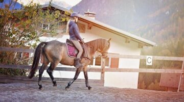 Jak nainstalovat a používat SUSE: Informative článek