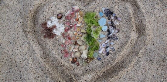 Úvod do světa kryptoměn