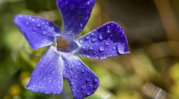 Jak využít funkce macOS ve vašem každodenním životě