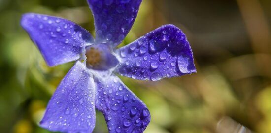 Jak využít funkce macOS ve vašem každodenním životě