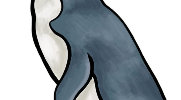 Jak začít s linuxem: základy a první kroky