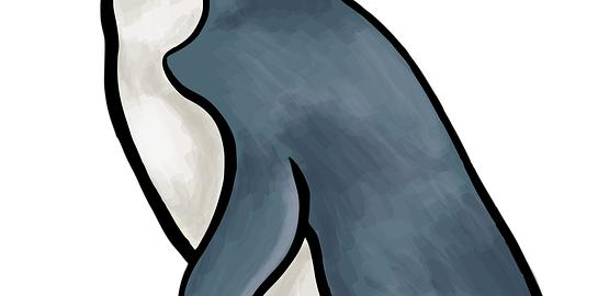 Jak začít s linuxem: základy a první kroky