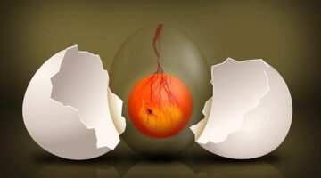 Vývoj webových stránek v PHP