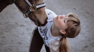 Jak nainstalovat openSUSE: kompletní návod