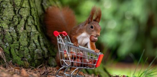 Jak nakupovat kryptoměny bezpečně?