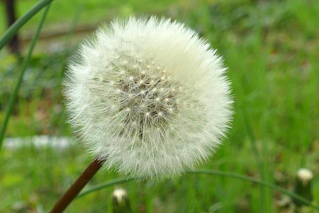 Výhody používání distribuce SUSE