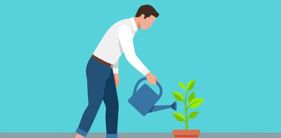 Vývojové prostředí pro PHP: dvě klíčové možnosti