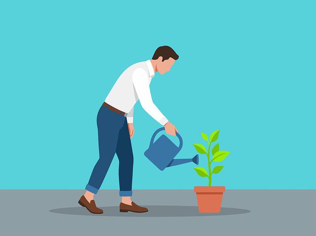 Vývojové prostředí pro PHP: dvě klíčové možnosti