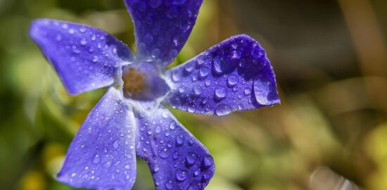 10 užitečných zkratkových kláves na macOS