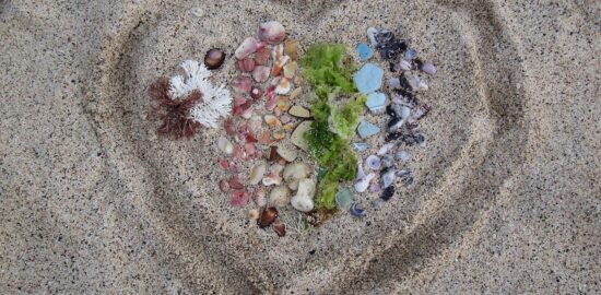 Úvod do kybernetiky: Informace o základech a vývoji